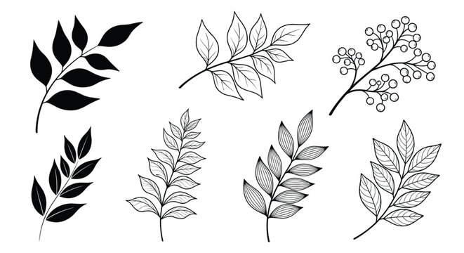 Collection of various leafy branch illustrations in black and white including silhouettes and detailed line art for botanical design set.