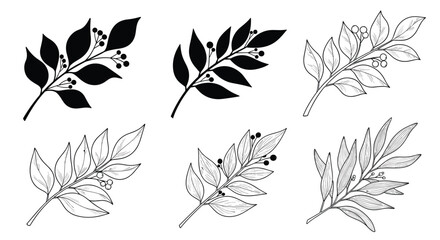 Set of botanical branch illustrations featuring black silhouettes and detailed line art sketches of leaves and berries on a white background.