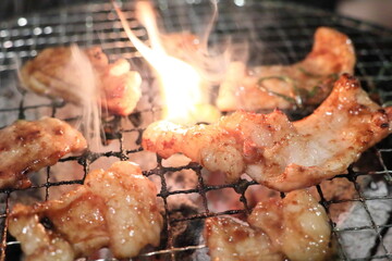 テッチャン（ホルモン）