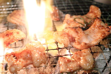 テッチャン（ホルモン）