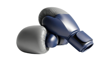 Pair of Boxing Gloves