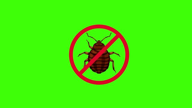 Bed Bug Infestation Warning Sign with Prohibition Symbol on Green Screen Background