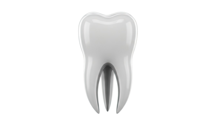 3D Model of a Healthy Human Molar Tooth
