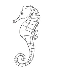 Line art of a seahorse, side view, detailed with segmented body and curled tail, on white background, ready to color