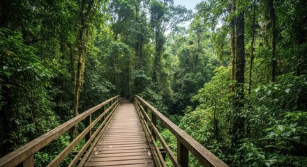 A wooden bridge leads into a lush green forest with dense trees and foliage, creating a vibrant scene