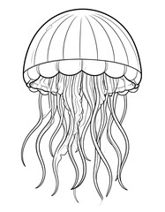 Line drawing of jellyfish with long tentacles and bell-shaped body on a white background