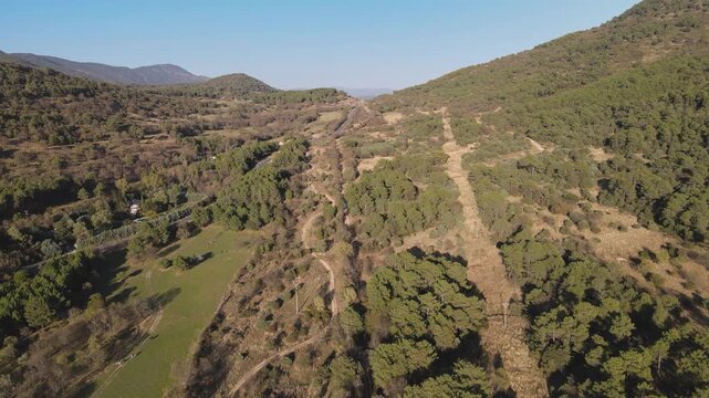 Front drone flight at the entrance of the Ti&eacute;tar Valley in &Aacute;vila, showing a section of the Ca&ntilde;ada Real Occidental Leonesa between green meadows on one side and a pine forest on the other.