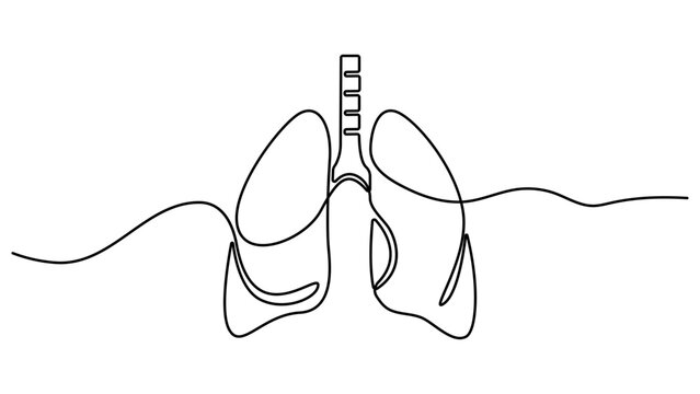 Continuous one line drawing of lungs medical anatomical organ isolated on white background. Continuous one line editable stroke of human lungs. Single line art style lungs vector illustration