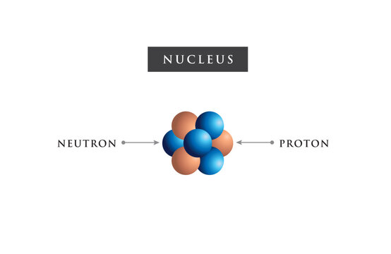 3d The nucleus, protons, and neutrons are represented by the English letters proton and neutron.