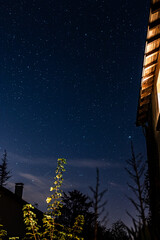 Bergnicourt, Rethel, Ardennes, Grand-Est, France, August, 28th, 2025, Illuminated foliage under starlight, Calm nighttime garden with luminous leaves and peaceful sky creating soothing