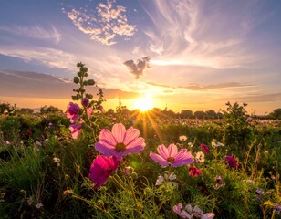 Obraz premium Sunrise Over Vibrant Wildflowers in Bloom Under Colorful Sky