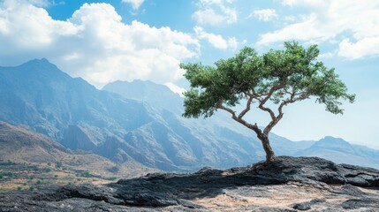 Lone tree atop rocky mountain landscape under a vibrant sky