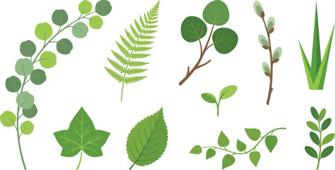 Fresh spring greenery foliage elements flat vector pack with eucalyptus branch fern frond round leaves willow pussy-willow buds grass blade ivy leaf elm leaf sprout trailing vine and boxwood sprig  © Madhuka Disanayaka