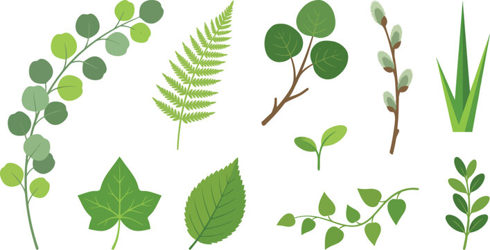 Fresh spring greenery foliage elements flat vector pack with eucalyptus branch fern frond round leaves willow pussy-willow buds grass blade ivy leaf elm leaf sprout trailing vine and boxwood sprig 