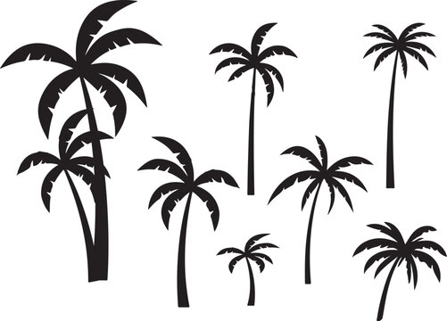  palm trees silhouette, palm tree silhouettes, palm trees silhouettes, palm, tree, beach, nature, summer, vector, silhouette, island, sun, illustration, leaf, palm tree, palmtree, leaves, design, plan