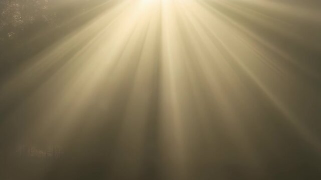 Mystical Rays of Light: A celestial display of light streams through, illuminating an ethereal scene, creating a sense of wonder and hope. 