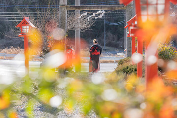 神社でお参りする着物姿の女性