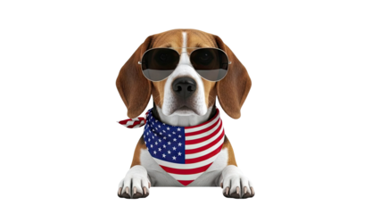 Beagle Dog Wearing American Flag Bandana and Sunglasses