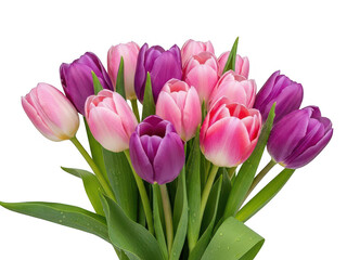 Obraz premium Vibrant tulip bouquet isolated on transparent background