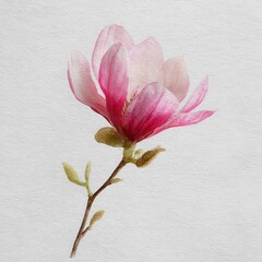 Delicate Pink Magnolia Flower Blossom on Textured Paper Background, Watercolor Style