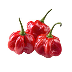 Spicy Trio: A vibrant cluster of three ripe, red habanero peppers, each boasting a glossy texture and a promise of intense heat.