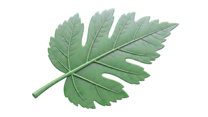 Green Grape Leaf