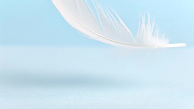 A single white feather floats gently against a soft blue gradient background