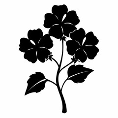 Fototapeta premium geranium hardy silhouette on white background 