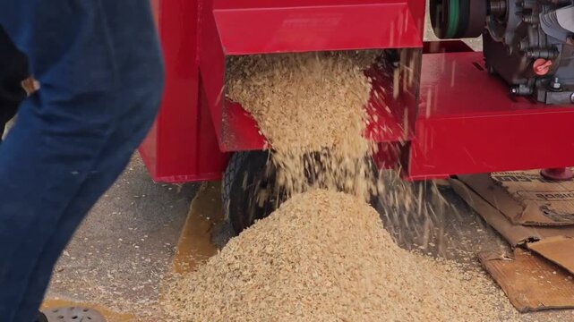 Wood chipper tree branches loaded cut green tree branches.