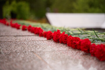 Red carnations laid on a memorial surface in a peaceful outdoor setting, symbolizing remembrance and honoring Victory Day on May 9 with themes of memory, respect, and tribute.