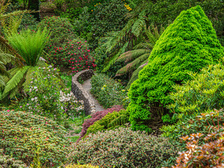 Stone Wall Winds Through Verdant Garden