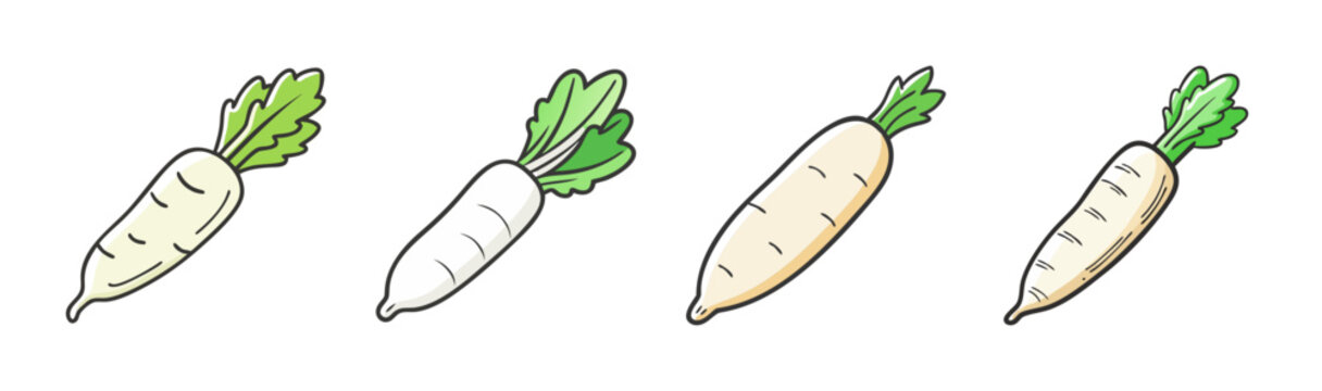 Four daikon radishes with green leaves, hand-drawn style, fresh vegetables.