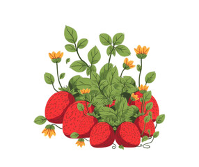 wild strawberry isolated on white