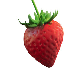 strawberry isolated on white