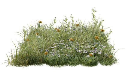 Small Patch of Green Meadow Grass with Yellow and White Wildflowers Isolated on White
