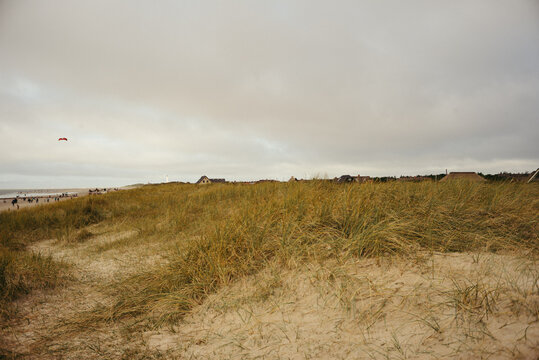 Raue Landschaft am Strand Blavand