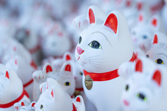 Maneki-neko at Gotokuji Lucky Cat