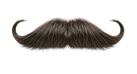 A long, dark brown mustache with a curled end on a png transparent