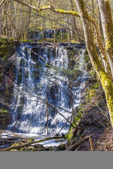 Waterfall in a forest a sunny spring day