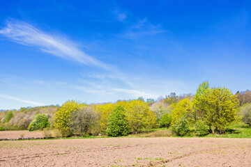 Cultivated land with bare topsoil in a rural landscape a sunny spring day