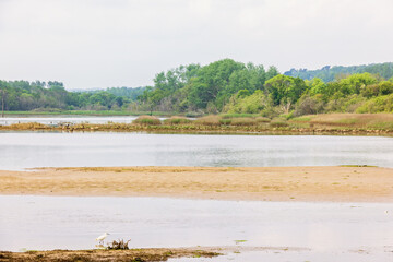 View at a wetland with sandbanks and birdlifes