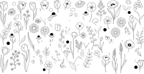 Obraz premium Hand Drawn Floral Line Art Collection with Tulips Daisies and Wildflowers Flat Vector Illustration for Botanical Garden Wedding Invitation Design