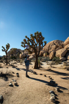 Man hiking taking pictures desert trail Joshua trees rock formations