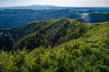 Obraz premium An overlooking view of nature in Mesa Verde NP, Colorado