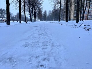 Fototapeta premium A snow-covered sidewalk among trees and a cityscape during a snowfall