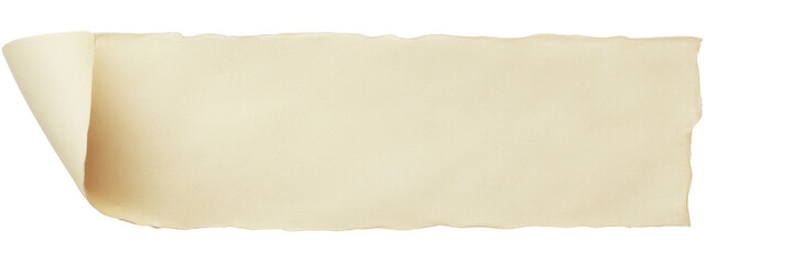 Obraz premium old paper scroll banner, ripped edge on transparent background.