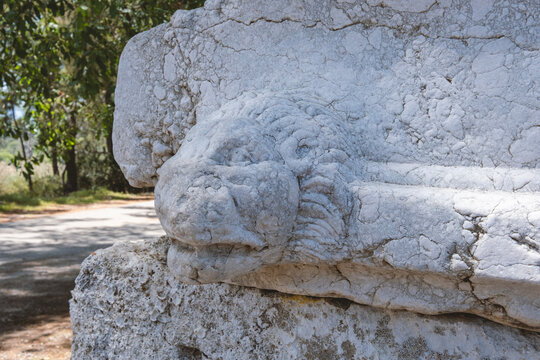 lion relief sarcophagus