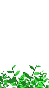 Animated background illustration of grass with a nature theme