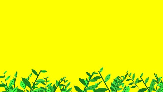 Animated background illustration of grass with a nature theme
