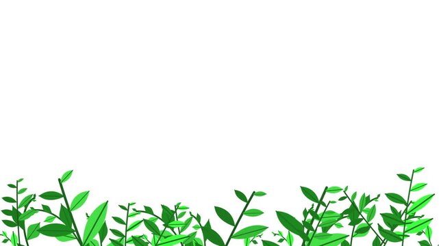 Animated background illustration of grass with a nature theme